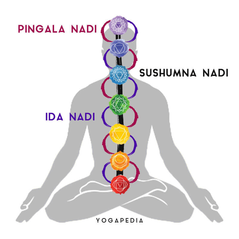 Yoga Poses to Balance The Throat Chakra - Kayla in the City