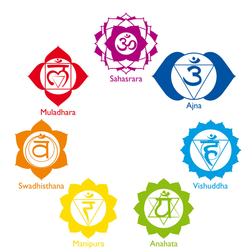 7 chakras lotus