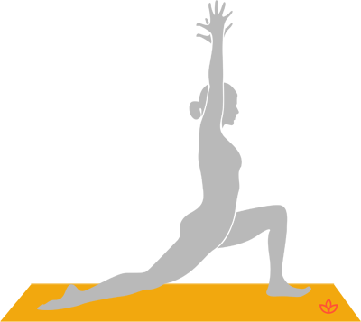 Amazon.com: Yoga Journal's Complete Beginners Guide with Pose Encyclopedia  : Jason Crandell, Yoga Journal: Movies & TV