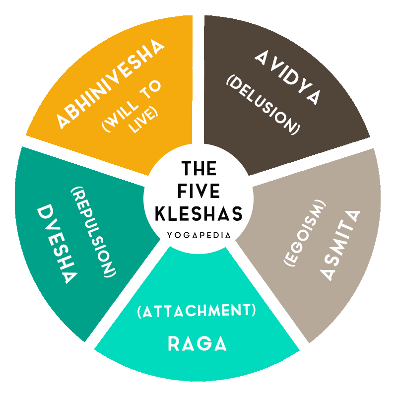 the five kleshas infographic avidya asmita raga dvesha abhinivesha