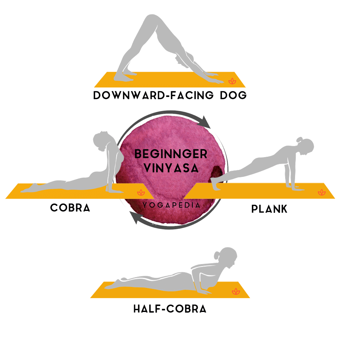 beginner vinyasa flow