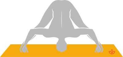Prasarita Padottanasana Yoga (Wide Legged Forward Bend Pose), Yoga  Sequences, Benefits, Variations, and Sanskrit Pronunciation